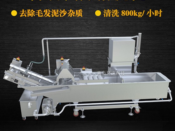 蔬菜清洗機(jī)，氣泡清洗，清洗800kg/小時